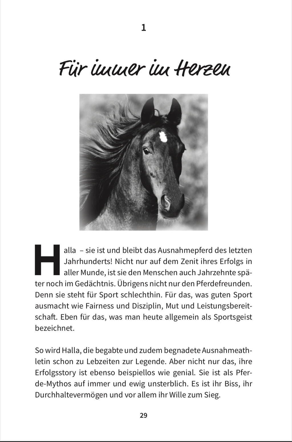 HALLA oder: Aufs richtige Pferd gesetzt?