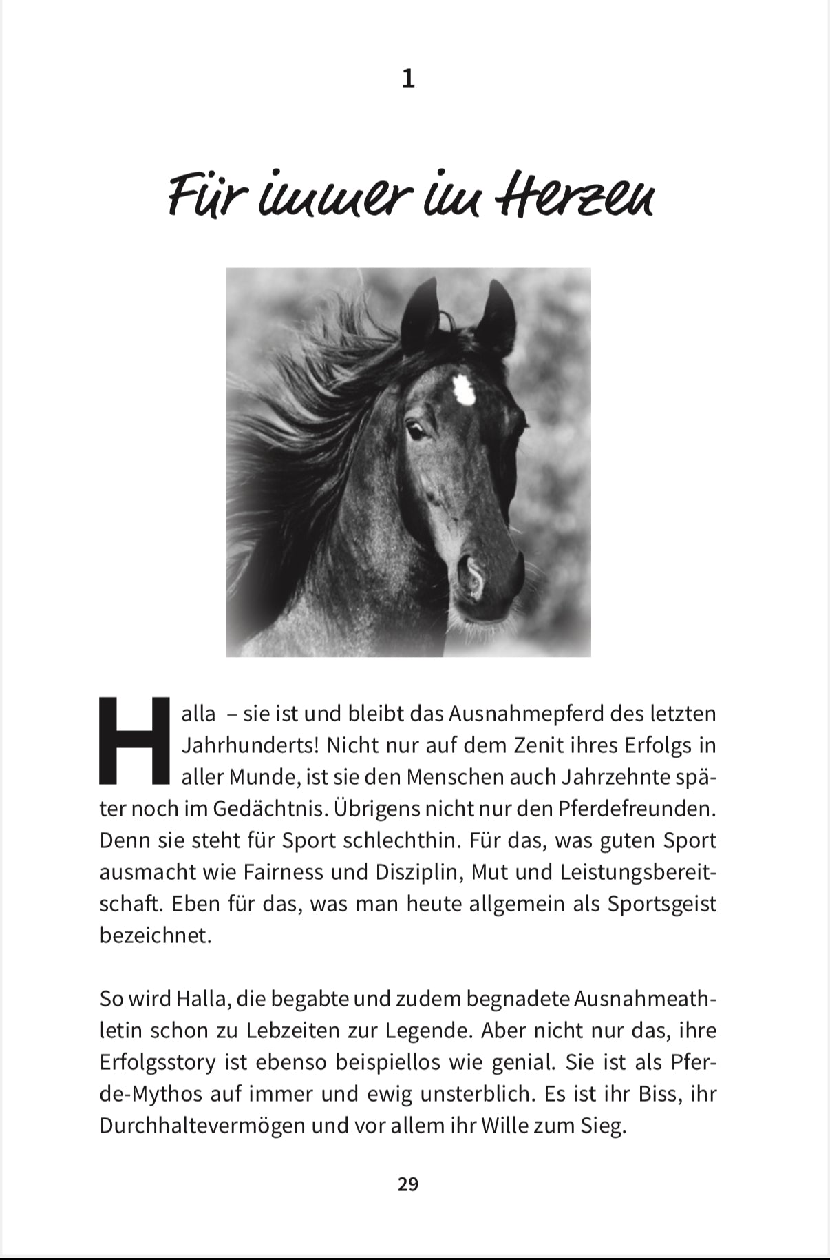 HALLA oder: Aufs richtige Pferd gesetzt?